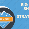 Big-Fish-Shark-Bite-Strategy