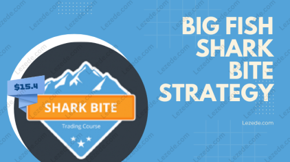 Big-Fish-Shark-Bite-Strategy