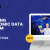 Trading-Economic-Data-System-by-CopperChips