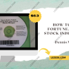 How-to-Build-Fortune-Trading-Stock-Index-Futures-by-Dennis-Minogue