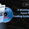 A Working Man's Forex Position Trading System 2010 by Alan Benefield Free Download