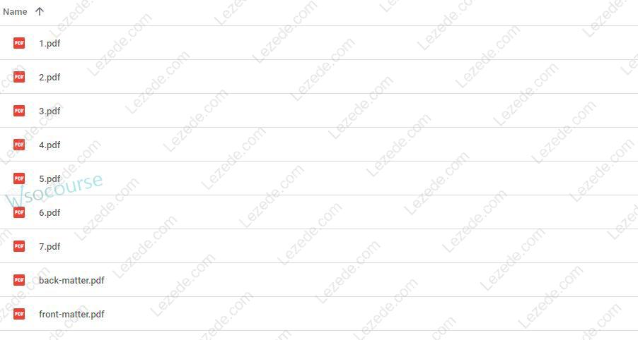 The Chinese Capital Market by Annette Kleinbrod Free Download