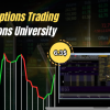 Forex Options Trading by Options University Free Download