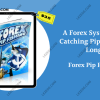 A-Forex-System-For-Catching-Pips-All-Day-Long-By-Forex-Pip-Fishing