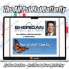 The All Put Flat Butterfly By Dan Sheridan - Sheridan Options Mentoring Free Download