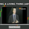 Trading a Living Thing (Article) by David Bowden Free Download
