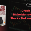 Crash Profits Make Money When Stocks Sink and Soar by Martin Weiss Free Download