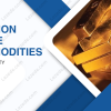Common-Sense-Commodities-By-David-Duty