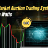MATS Market Auction Trading System by Ryan Watts Free Download