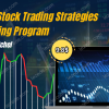 Power Stock Trading Strategies Mentoring Program By Todd Mitchel Free Download
