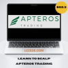 Learn-to-Scalp-by-Apteros-Trading