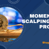 Momentum-Scalping-for-Profits-by-Shay-Horowitz