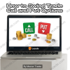 How to Swing Trade Call and Put Options by Master Trader Free Download