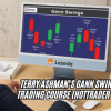 Terry Ashman’s Gann Swings Swing Trading Course (HotTrader Tutorial) Free Download