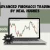 Advanced Fibonacci Trading by Neal Hughes