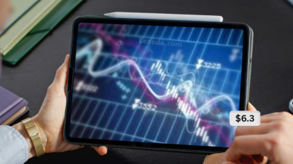 Behavior-and-Performance-of-Investment-Newsletter-Analysts-Article-by-Alok-Kumar