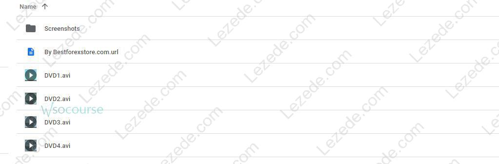 Gaining-an-Edge-when-you-Trade-the-S&P-Futures-by-Carolyn-Boroden-Proof