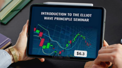 Introduction-to-the-Elliot-Wave-Principle-Seminar-by-Robert-Prechter