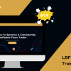 LBFX Academy Training Course