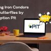Mastering Iron Condors and Butterflies by Option Pit