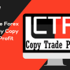 Millionaire Forex Course By Copy Trade Profit