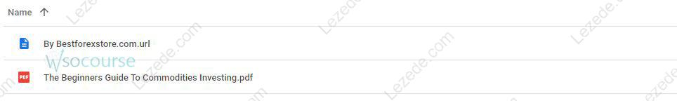 The-Beginners-Guide-to-Commodities-Investing-by-Brian-&-Gayle-Rice-Proof