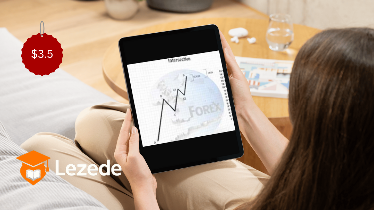 The Goodman Currency Codex By Michael Duane Archer