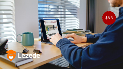 TradeGuider VSA Plugin for MetaTrader 4 by Tradeguider