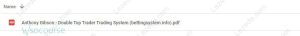 Double-Top-Trader-Trading-System-by-Anthony-Gibson