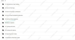 Gap-Trading-for-Stock-and-Options-Traders-by-Damon-Verial