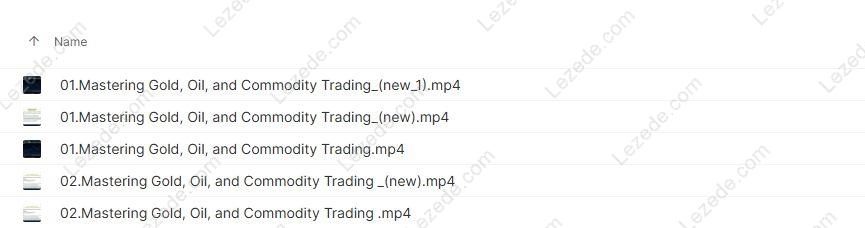 Scalping-the-Forex-by-John-S.-Bartlett-Options-For-Gold-Oil-and-Other-Commodities