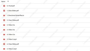 Directional-Butterflies-by-Dan-Sheridan