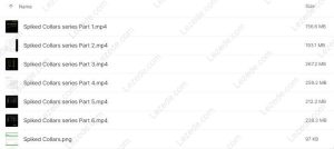 SPIKED-COLLARS-(Dynamic-Hedging)