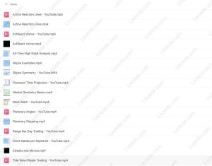 Yuri-Shamenko-Videos