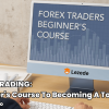 FOREX TRADING: Beginner's Course To Becoming A Top Trader By Karen Foo Free Download
