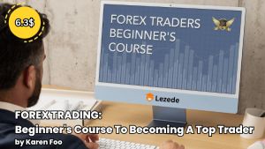 FOREX TRADING: Beginner's Course To Becoming A Top Trader By Karen Foo Free Download