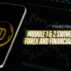 Module 1 & 2 Swing Trading Forex and Financial Futures By Trader Dante Free Download