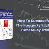 How To Successfully Trade The Haggerty 1,2,3 Strategy Home Study Trading Course by Kevin Haggerty Free Download
