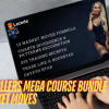 High Rollers Mega Course Bundle - 13 Market Moves Free Download
