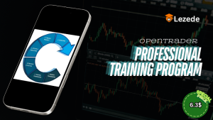 Professional Training Program By OpenTrader Free Download