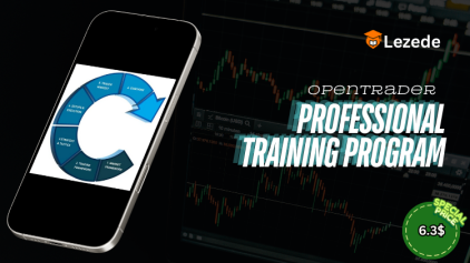 Professional Training Program By OpenTrader Free Download