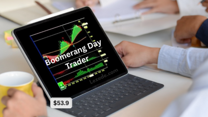 Boomerang-Day-Trader-Aug-2012