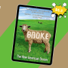 Broke: The New American Dream By Michael Covel