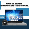 Crude Oil Secrets - How Porgrams Trade Crude Oil