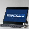 Emini-SP-Trading-Secret-Video-Course