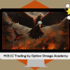 M.E.I.C Trading by Option Omega Academy