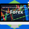 PDFT (Price Driven Forex Trading) Course by Avi Frister