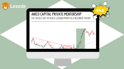 Private Mentorship By ANICO Capital