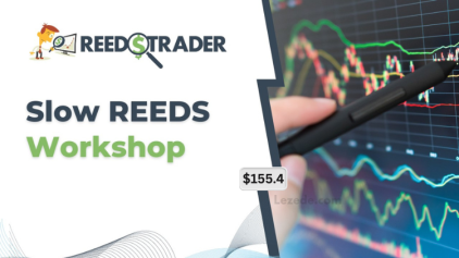 Slow-REEDS-Workshop-eCourse-2024-by-Mark-Boucher