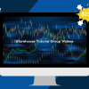 Storehouse Tutorial Group Videos
